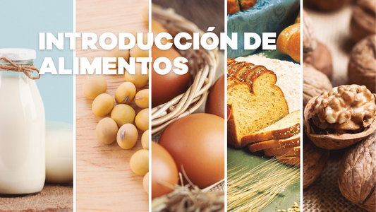 Introducción de alimentos asociados con alergia alimentaria dentro de la A.C.