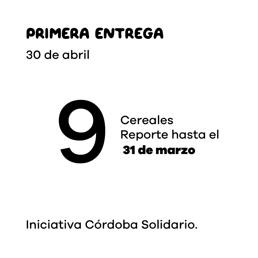 Cereal Infantil Solidario Fiido 300g